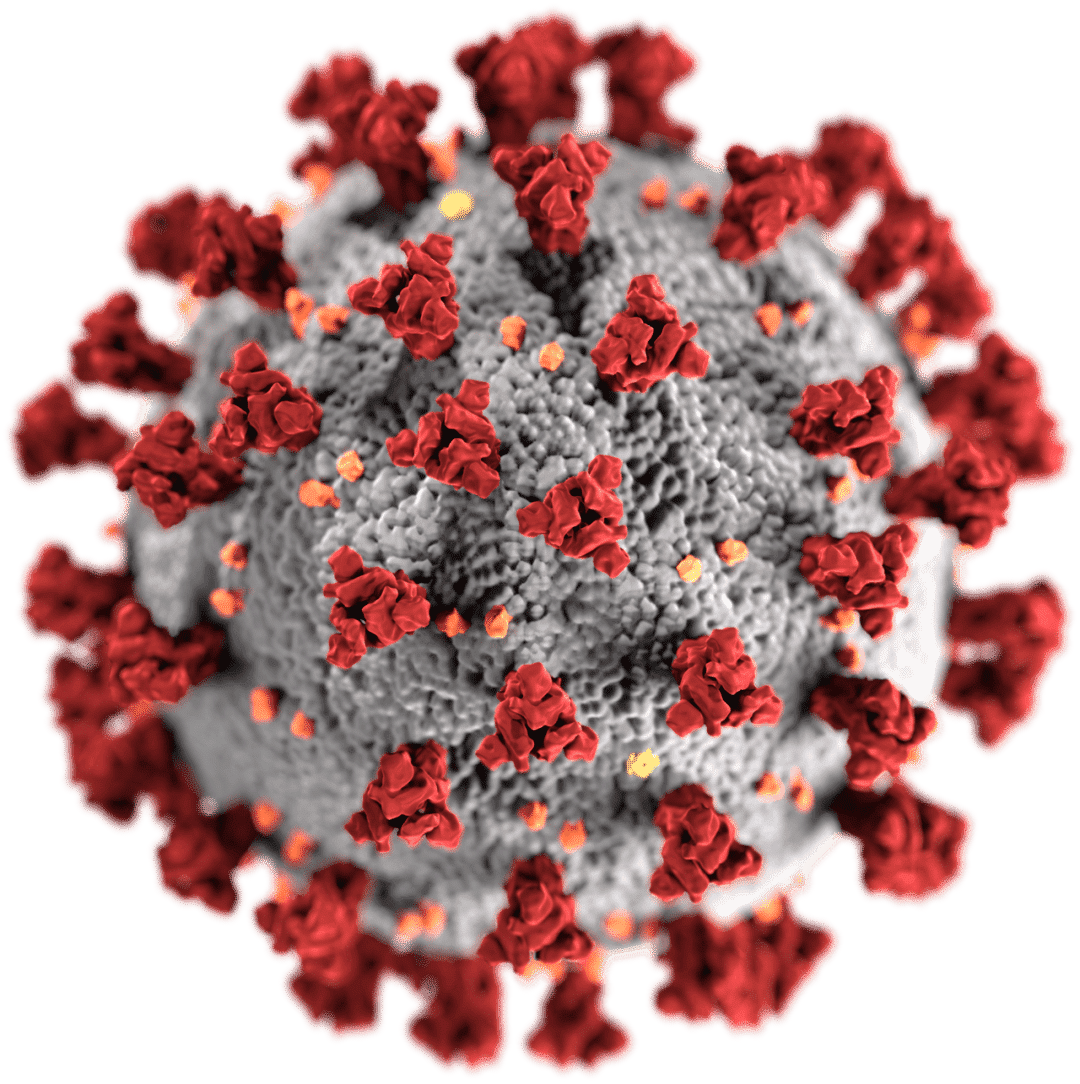 2019–20 pandemia di coronavirus
