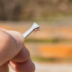 Disinfestazione Zecche Cagliari
